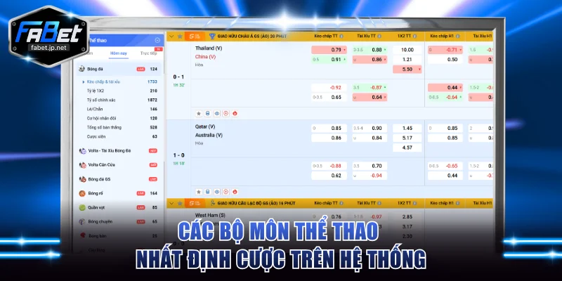 Các bộ môn thể thao nhất định cược trên hệ thống