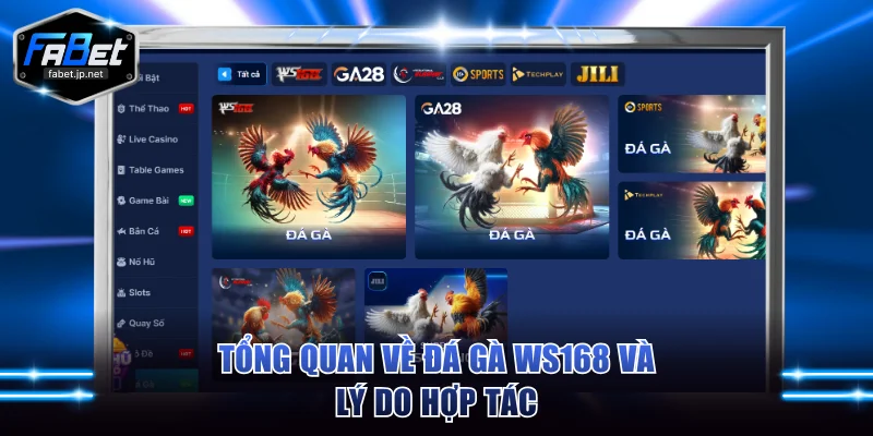 Tổng quan về đá gà WS168 và lý do hợp tác